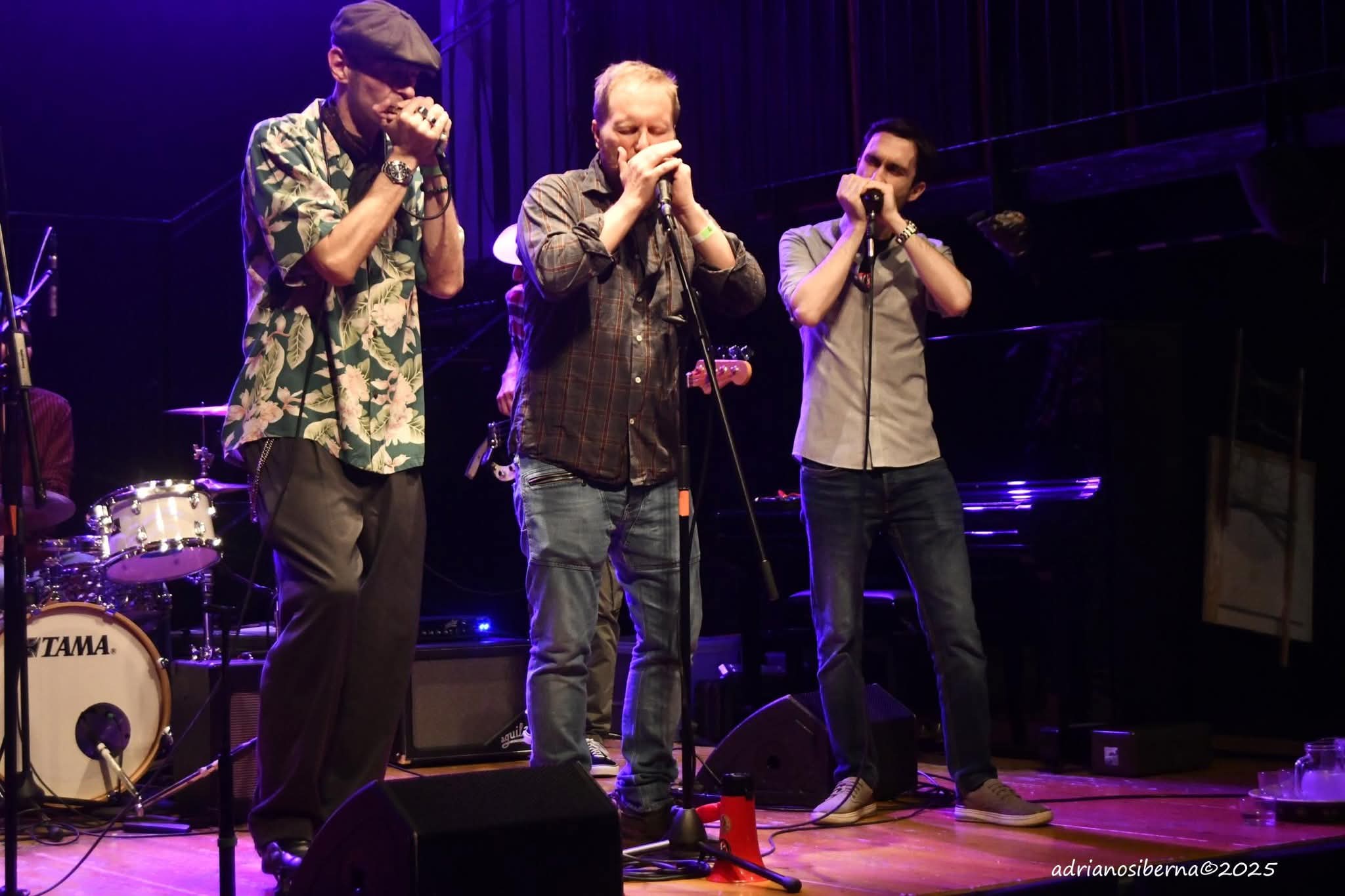 Milano Harmonica Rumble